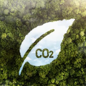 modulo-descarbonizacao-pegada-carbono